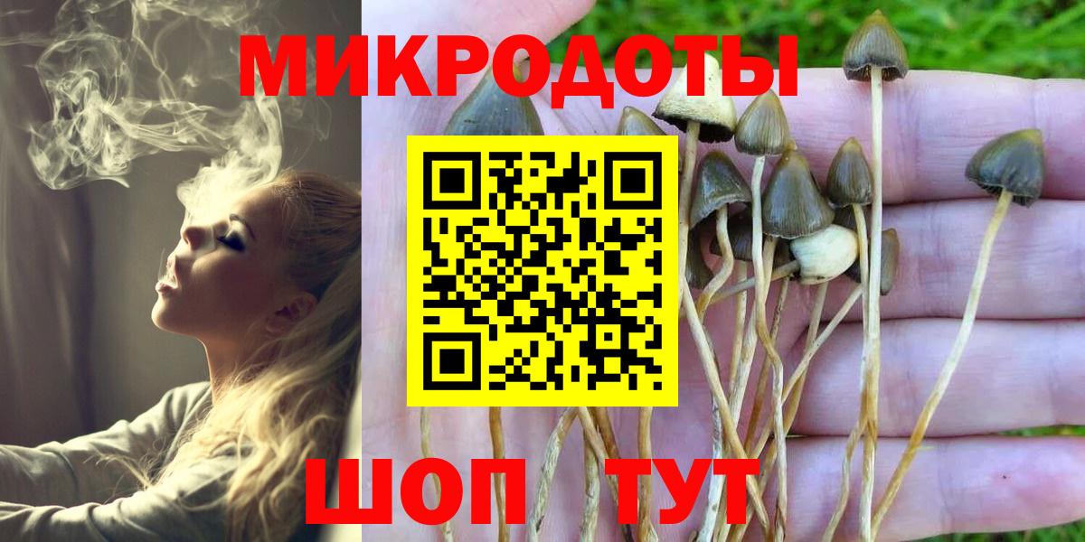 Галлюциногенные грибы Psilocybine cubensis  купить наркотик  Киселёвск  Вход с VPN 